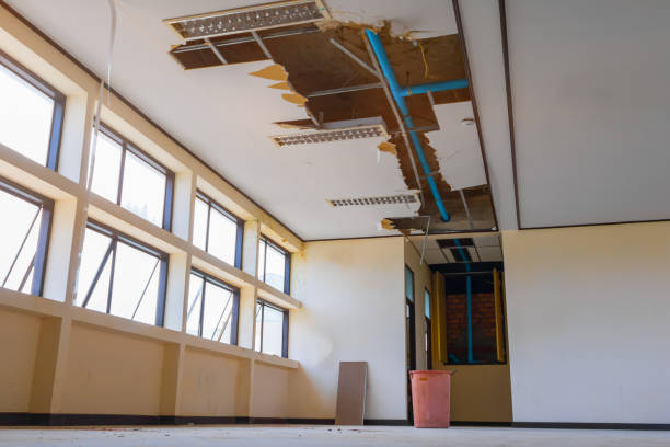 Best Water damage restoration experts  in Carthage, MO
