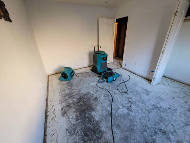 24/7 water damage repair in Carthage, MO