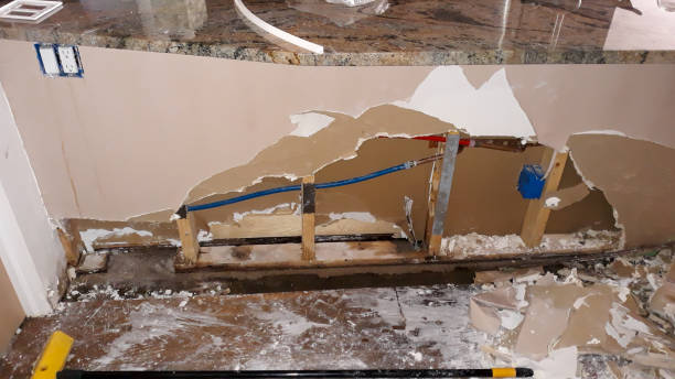 Best Local water damage restoration  in Carthage, MO