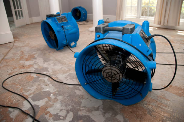 Water damage restoration experts in Carthage, MO
