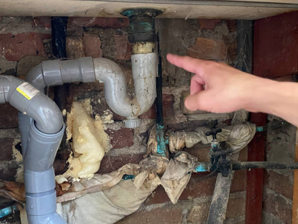 Best Commercial water damage restoration  in Carthage, MO