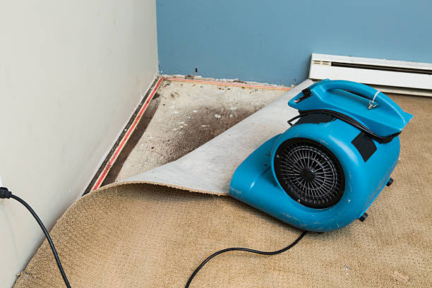 Water damage restoration mold remediation in Carthage, MO